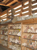 stephan tobler atelier